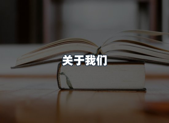 专业团队